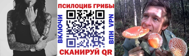 Галлюциногенные грибы прущие грибы  Верхоянск 